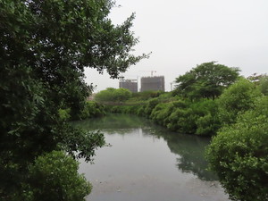 IMG_5038.jpg
