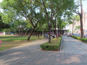 IMG_5100.jpg