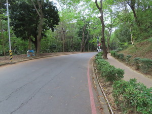 IMG_5121.jpg