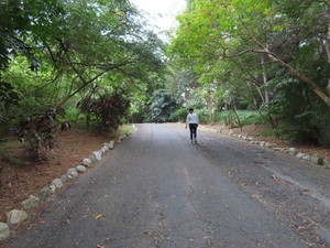 IMG_5191.jpg
