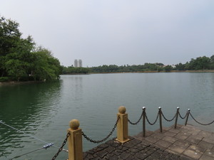 IMG_5209.jpg