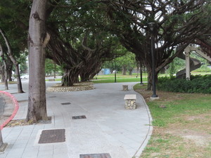 IMG_5273.jpg
