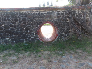 IMG_5327.jpg