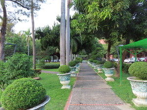 IMG_5337.jpg