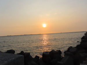 IMG_5343.jpg