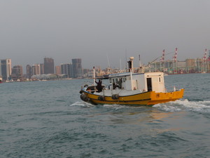 IMG_5352.jpg