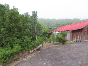 IMG_5368.jpg