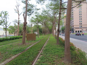 IMG_5520.jpg