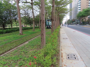 IMG_5526.jpg