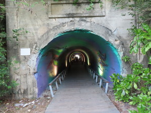 IMG_5607.jpg