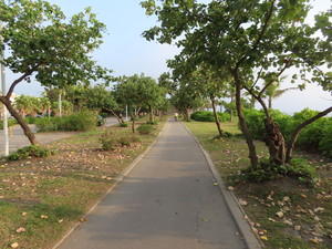 IMG_5615.jpg