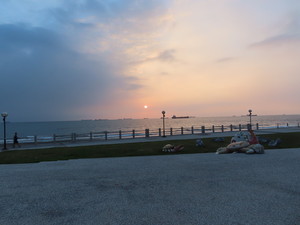 IMG_5632.jpg