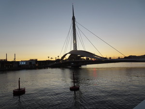 IMG_5698.jpg