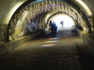 IMG_5869.jpg