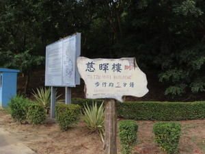IMG_5965.jpg