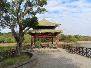 IMG_5970.jpg