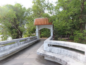 IMG_5992.jpg