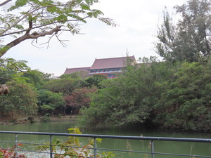 IMG_5994.jpg