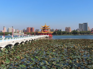 IMG_6021.jpg