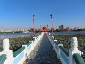 IMG_6023.jpg