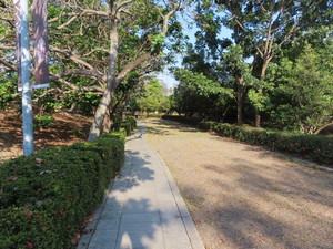 IMG_6075.jpg