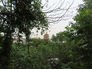 IMG_6096.jpg