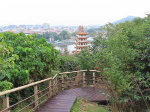 IMG_6099.jpg