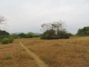 IMG_6121.jpg