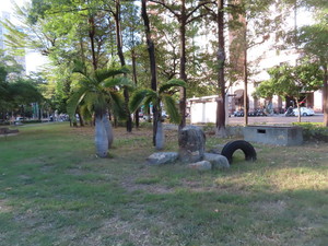 IMG_6196.jpg