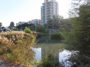 IMG_6231.jpg
