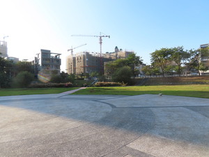 IMG_6232.jpg
