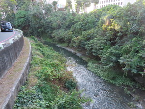 IMG_6235.jpg