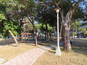 IMG_6469.jpg