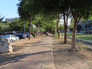 IMG_6473.jpg