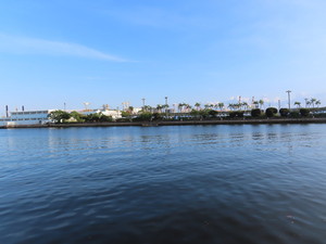 IMG_8660.jpg