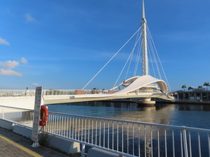IMG_8661.jpg