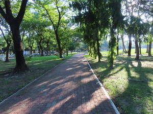 IMG_8707.jpg