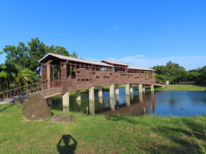 IMG_8709.jpg