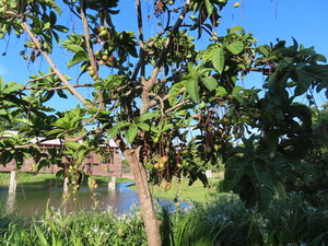 IMG_8710.jpg