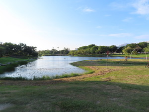 IMG_8714.jpg