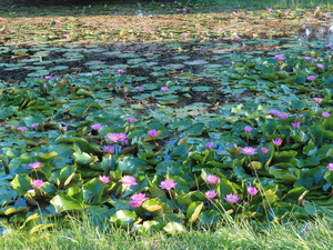 IMG_8716.jpg