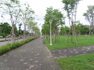IMG_9499.jpg