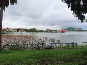 IMG_9505.jpg