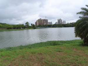 IMG_9508.jpg