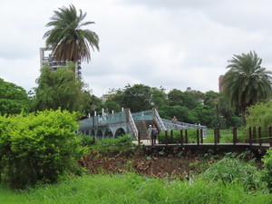 IMG_9510.jpg