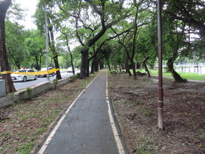 IMG_9512.jpg