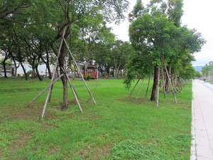 IMG_9514.jpg