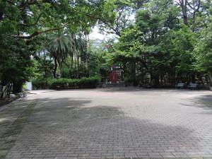 IMG_9523.jpg