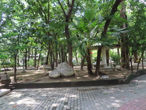 IMG_9526.jpg