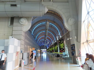 IMG_9535.jpg